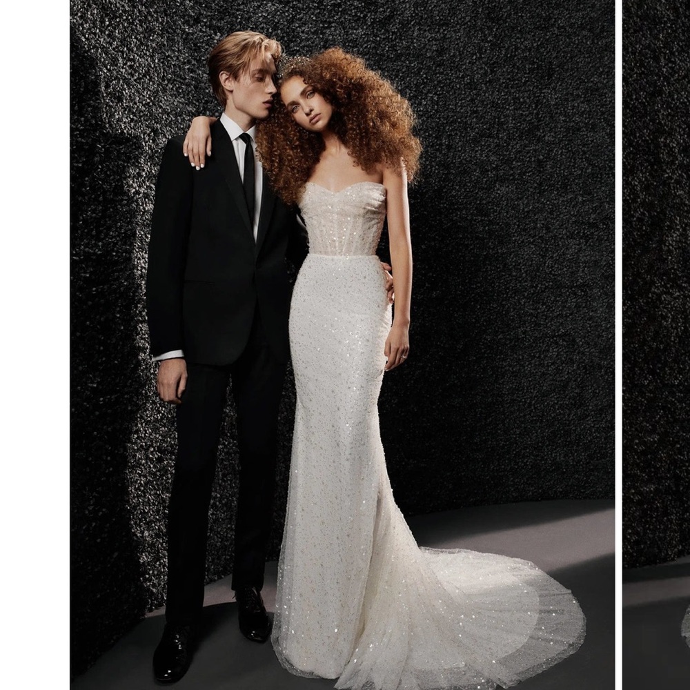 Vera Wang by Pronovias Bride Lilie Gown